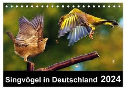 Singvögel in Deutschland (Tischkalender 2024 DIN A5 quer), CALVENDO Monatskalender