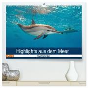 Highlights aus dem Meer - Tauchkalender (hochwertiger Premium Wandkalender 2024 DIN A2 quer), Kunstdruck in Hochglanz