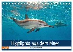 Highlights aus dem Meer - Tauchkalender (Tischkalender 2024 DIN A5 quer), CALVENDO Monatskalender