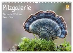 Pilzgalerie - Die bunte Welt der Baumpilze (Wandkalender 2024 DIN A3 quer), CALVENDO Monatskalender