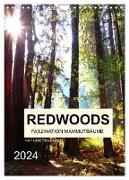 Redwoods - Faszination Mammutbäume (Wandkalender 2024 DIN A4 hoch), CALVENDO Monatskalender