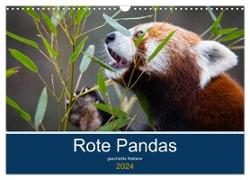 Rote Pandas - geschickte Kletterer (Wandkalender 2024 DIN A3 quer), CALVENDO Monatskalender