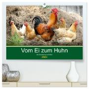 Vom Ei zum Huhn. Die Entwicklung von Küken (hochwertiger Premium Wandkalender 2024 DIN A2 quer), Kunstdruck in Hochglanz