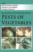 Pests Of Vegetables