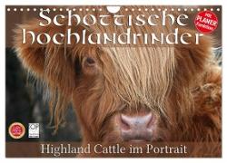 Schottische Hochlandrinder - Highland Cattle im Portrait (Wandkalender 2024 DIN A4 quer), CALVENDO Monatskalender