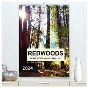 Redwoods - Faszination Mammutbäume (hochwertiger Premium Wandkalender 2024 DIN A2 hoch), Kunstdruck in Hochglanz