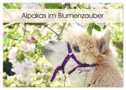 Alpakas im Blumenzauber (Wandkalender 2024 DIN A2 quer), CALVENDO Monatskalender