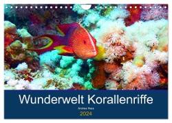 Wunderwelt Korallenriffe (Wandkalender 2024 DIN A4 quer), CALVENDO Monatskalender