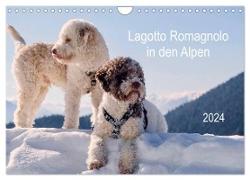 Lagotto Romagnolo in den Alpen 2024 (Wandkalender 2024 DIN A4 quer), CALVENDO Monatskalender