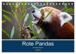 Rote Pandas - geschickte Kletterer (Tischkalender 2024 DIN A5 quer), CALVENDO Monatskalender