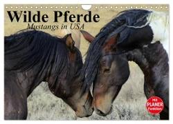 Wilde Pferde. Mustangs in USA (Wandkalender 2024 DIN A4 quer), CALVENDO Monatskalender