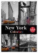 New York Colorkey (Wandkalender 2024 DIN A2 hoch), CALVENDO Monatskalender