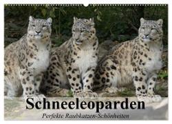 Schneeleoparden. Perfekte Raubkatzen-Schönheiten (Wandkalender 2024 DIN A2 quer), CALVENDO Monatskalender