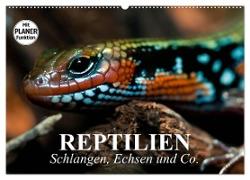 Reptilien. Schlangen, Echsen und Co. (Wandkalender 2024 DIN A2 quer), CALVENDO Monatskalender