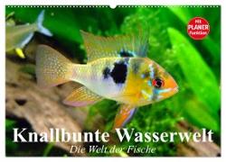 Knallbunte Wasserwelt. Die Welt der Fische (Wandkalender 2024 DIN A2 quer), CALVENDO Monatskalender