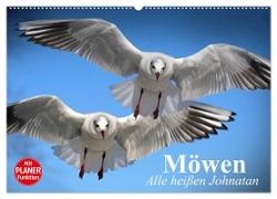 Möwen. Alle heißen Johnatan (Wandkalender 2024 DIN A2 quer), CALVENDO Monatskalender