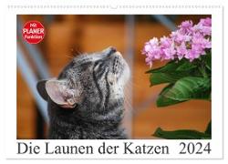 Die Launen der Katzen 2024 (Wandkalender 2024 DIN A2 quer), CALVENDO Monatskalender