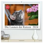 Die Launen der Katzen 2024 (hochwertiger Premium Wandkalender 2024 DIN A2 quer), Kunstdruck in Hochglanz