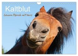 Kaltblut - schwere Pferde mit Herz (Wandkalender 2024 DIN A4 quer), CALVENDO Monatskalender