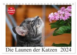 Die Launen der Katzen 2024 (Tischkalender 2024 DIN A5 quer), CALVENDO Monatskalender