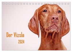Der Vizsla 2024 (Tischkalender 2024 DIN A5 quer), CALVENDO Monatskalender