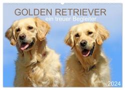 Golden Retriever ein treuer Begleiter (Wandkalender 2024 DIN A2 quer), CALVENDO Monatskalender