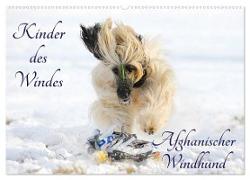 Kinder des Windes - Afghanischer Windhund (Wandkalender 2024 DIN A2 quer), CALVENDO Monatskalender