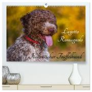 Lagotto Romagnolo - Italienischer Trüffelhund (hochwertiger Premium Wandkalender 2024 DIN A2 quer), Kunstdruck in Hochglanz