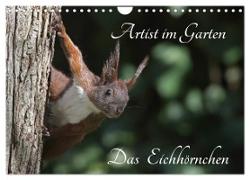 Artist im Garten. Das Eichhörnchen (Wandkalender 2024 DIN A4 quer), CALVENDO Monatskalender