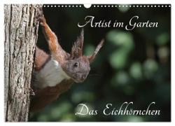Artist im Garten. Das Eichhörnchen (Wandkalender 2024 DIN A3 quer), CALVENDO Monatskalender