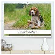 Beaglebabys auf Entdeckungstour (hochwertiger Premium Wandkalender 2024 DIN A2 quer), Kunstdruck in Hochglanz