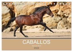 Caballos Spanische Pferde 2024 (Tischkalender 2024 DIN A5 quer), CALVENDO Monatskalender