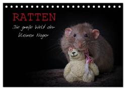 Ratten. Die große Welt der kleinen Nager (Tischkalender 2024 DIN A5 quer), CALVENDO Monatskalender