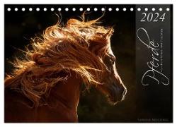 Pferde - Anmut und Stärke gepaart mit Magie (Tischkalender 2024 DIN A5 quer), CALVENDO Monatskalender