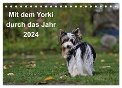 Mit dem Yorki durch das Jahr 2024 (Tischkalender 2024 DIN A5 quer), CALVENDO Monatskalender