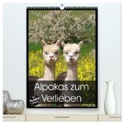 Alpakas zum Verlieben (hochwertiger Premium Wandkalender 2024 DIN A2 hoch), Kunstdruck in Hochglanz