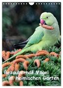 Bezaubernde Vögel im heimischen Garten (Wandkalender 2024 DIN A4 hoch), CALVENDO Monatskalender