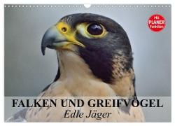 Falken und Greifvögel - Edle Jäger (Wandkalender 2024 DIN A3 quer), CALVENDO Monatskalender