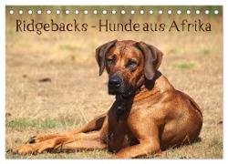 Ridgebacks - Hunde aus Afrika (Tischkalender 2024 DIN A5 quer), CALVENDO Monatskalender
