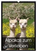 Alpakas zum Verlieben (Wandkalender 2024 DIN A3 hoch), CALVENDO Monatskalender