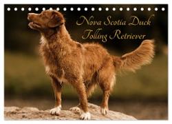 Nova Scotia Duck Tolling Retriever (Tischkalender 2024 DIN A5 quer), CALVENDO Monatskalender