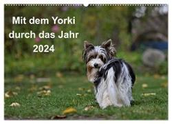 Mit dem Yorki durch das Jahr 2024 (Wandkalender 2024 DIN A2 quer), CALVENDO Monatskalender