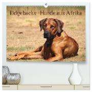 Ridgebacks - Hunde aus Afrika (hochwertiger Premium Wandkalender 2024 DIN A2 quer), Kunstdruck in Hochglanz