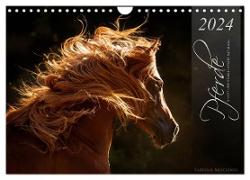 Pferde - Anmut und Stärke gepaart mit Magie (Wandkalender 2024 DIN A4 quer), CALVENDO Monatskalender