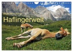 Wunderschöne Haflingerwelt (Wandkalender 2024 DIN A4 quer), CALVENDO Monatskalender