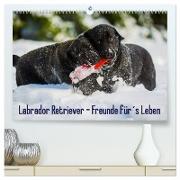 Labrador Retriever - Freunde für´s Leben (hochwertiger Premium Wandkalender 2024 DIN A2 quer), Kunstdruck in Hochglanz