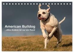 American Bulldog - alles Andere ist nur ein Hund (Tischkalender 2024 DIN A5 quer), CALVENDO Monatskalender