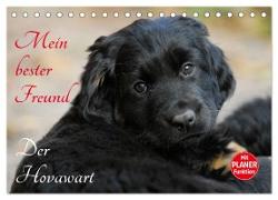 Mein bester Freund - Der Hovawart (Tischkalender 2024 DIN A5 quer), CALVENDO Monatskalender