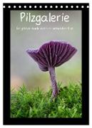 Pilzgalerie - Die geheimnisvolle Welt der heimischen Pilze (Tischkalender 2024 DIN A5 hoch), CALVENDO Monatskalender