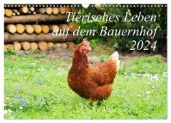 Tierisches Leben auf dem Bauernhof 2024 (Wandkalender 2024 DIN A3 quer), CALVENDO Monatskalender